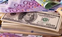 Dolar ve Euro Kurları: 20 Mayıs 2024 Döviz Fiyatları