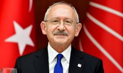 Kılıçdaroğlu'nun "Demeç Vermiyorum" İtirafı: Başıboş Köpeklerle İlgili Açıklama