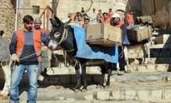 Mardin'in simgesi 'Çöp Eşeklerin' Görevleri Sona Eriyor