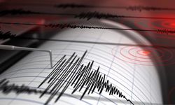 Bingöl'de 4 Büyüklüğünde Deprem! Sarsıntı Çevre İllere de Hissedildi