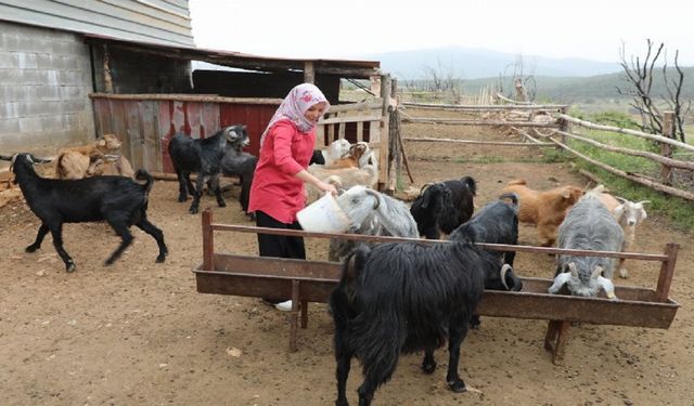 Muğlalı Kadın Üreticiler Kazanıyor