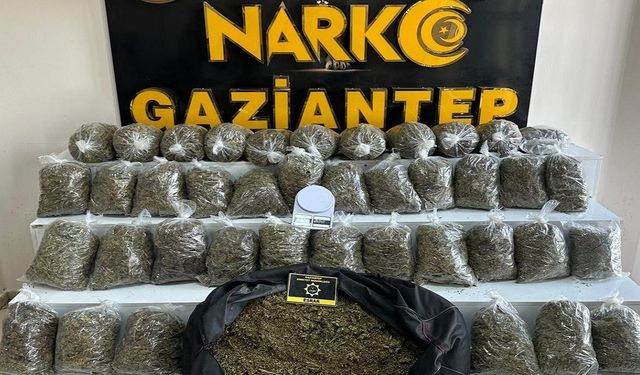 Gaziantep’te 56 kilo esrar ele geçirildi