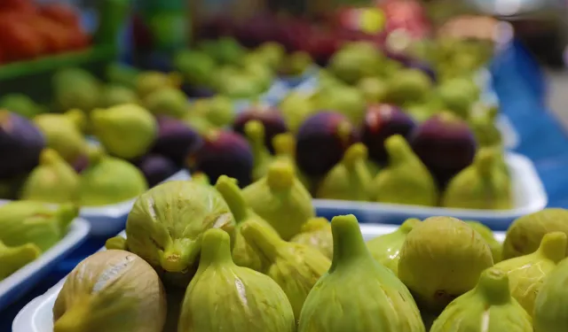 Bardacık festivaline ünlü yağdı